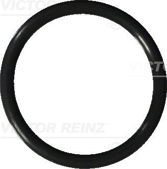 Tesniaci krúžok, Vypúšťacia skrutka oleja REINZ (40-76041-20)