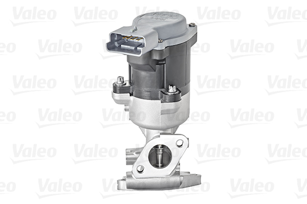 AGR - Ventil Valeo Service (700411)