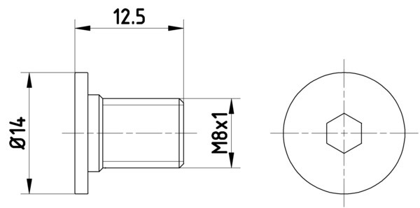 Skrutka brzdového kotúča TEXTAR (TPM0002)